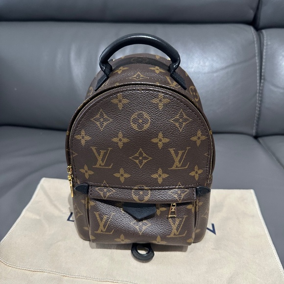 Louis Vuitton Handbags - Louis Vuitton Palm Springs Mini